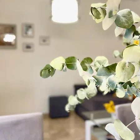 Apartamento Nuevo, Con Parking Gratuito Y A Un Paso Del Casco Historico Córdova